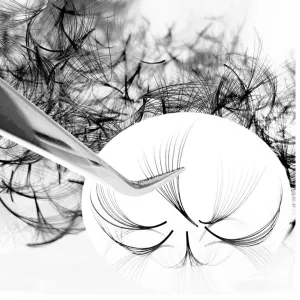 10D - Premade Fans - 500 pcs | C-Curl