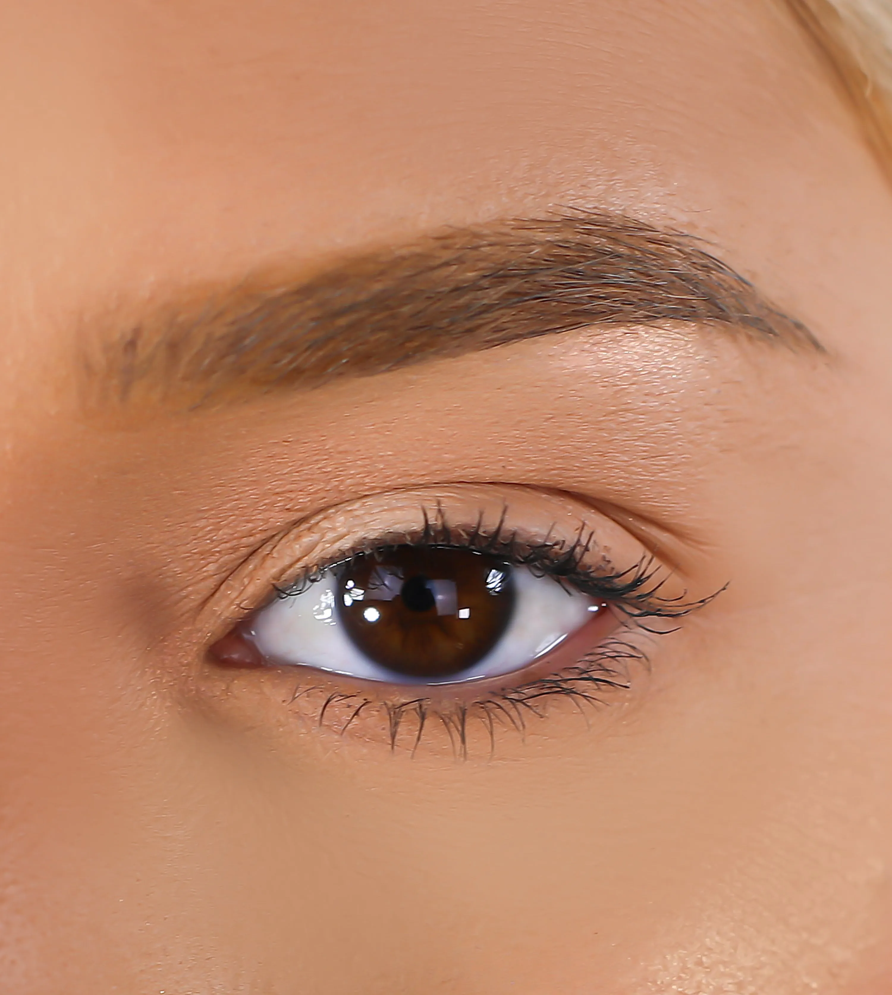 3D Mink Eyelashes - Frida