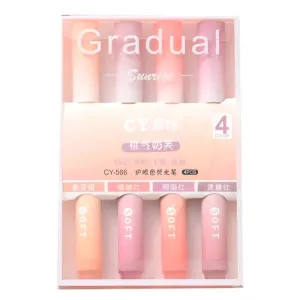 4 Pieces Kawaii Highlighter Pens Set Diy Spot Liner Marker