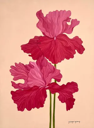 A Reblooming Iris