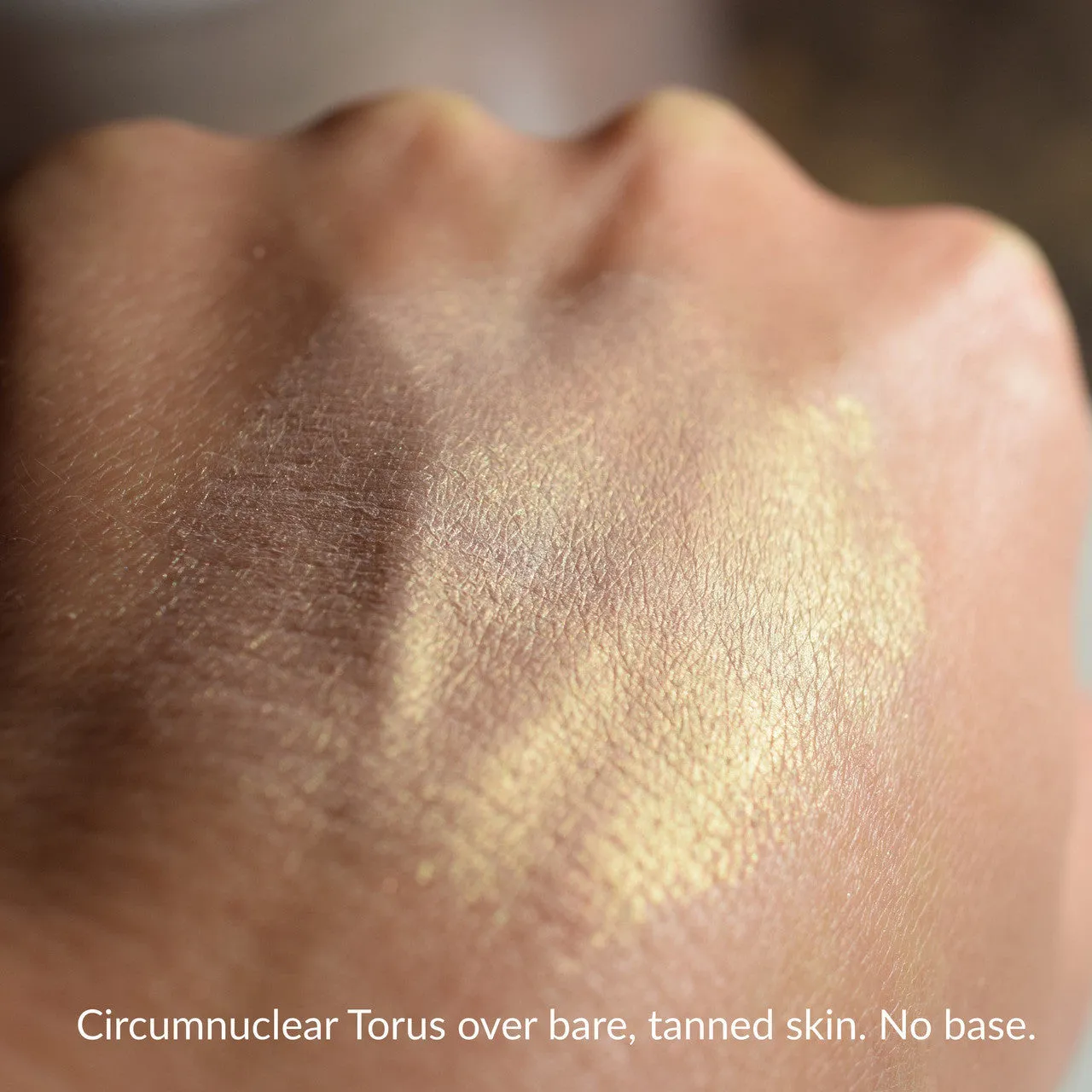 CIRCUMNUCLEAR TORUS - Multipurpose - Highlighter