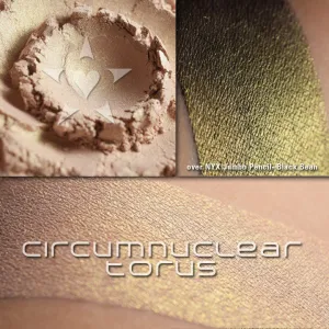CIRCUMNUCLEAR TORUS - Multipurpose - Highlighter