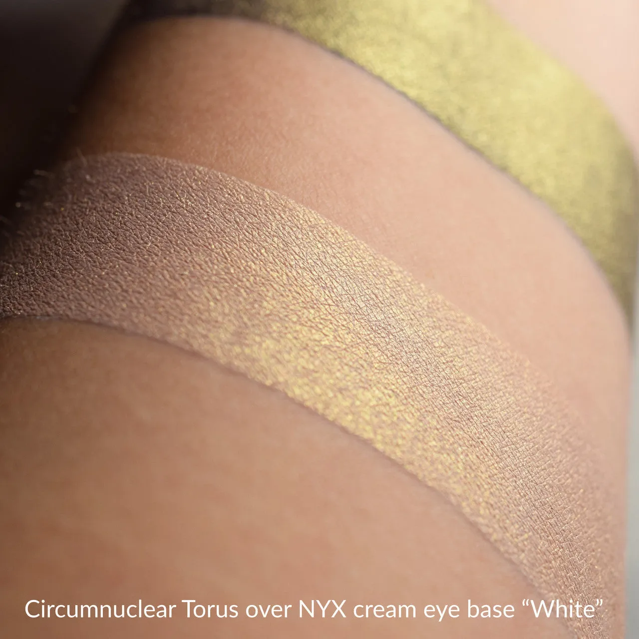 CIRCUMNUCLEAR TORUS - Multipurpose - Highlighter