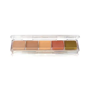 CONCEALER PALETTE - 5 ALCOHOL ACTIVATED COLOURS