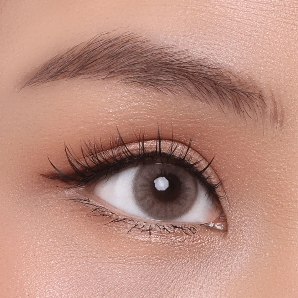 Daydream Lashes