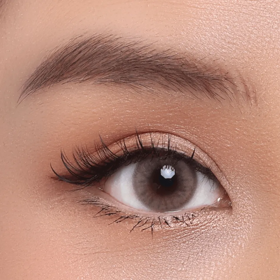 Daydream Lashes