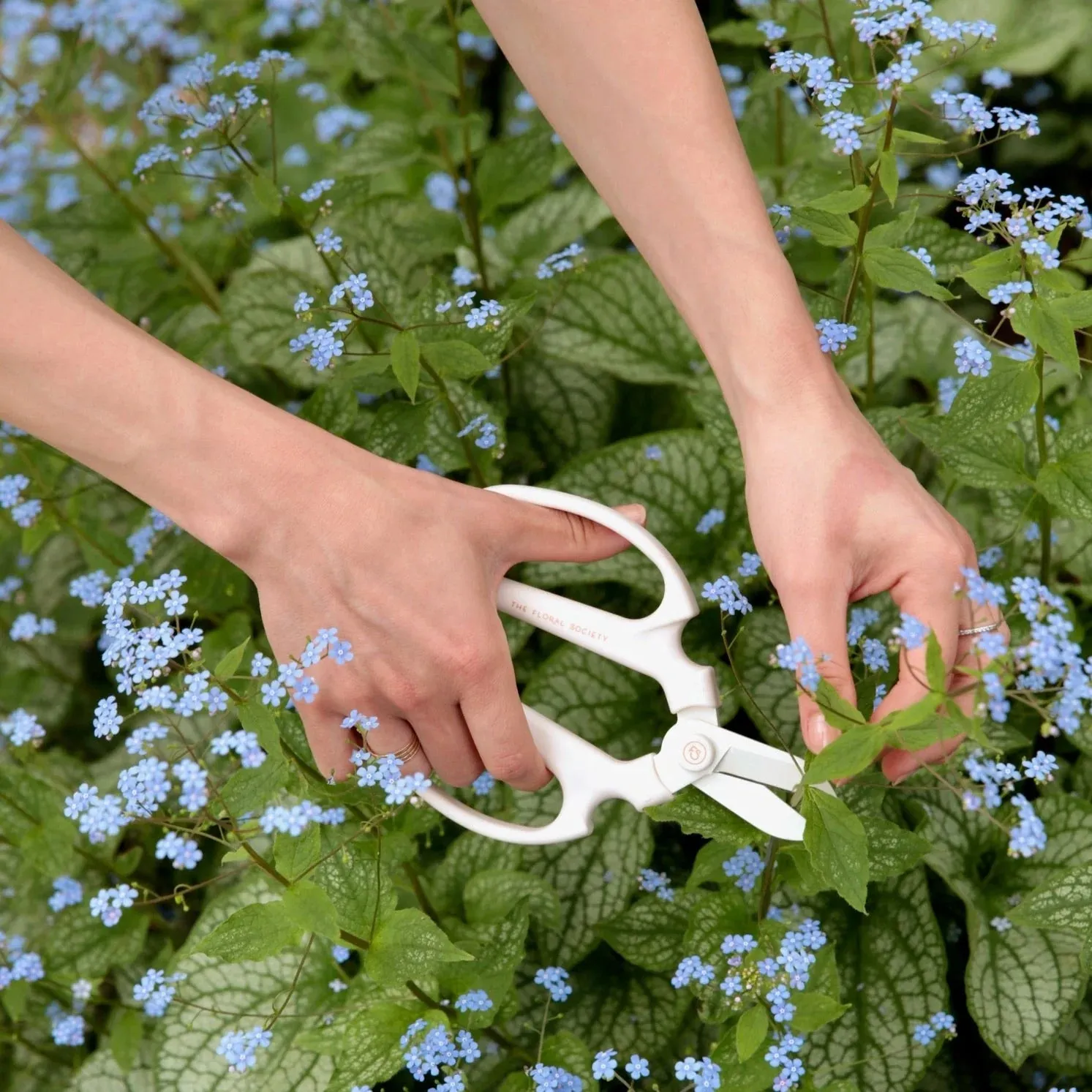 Japanese Floral Clippers