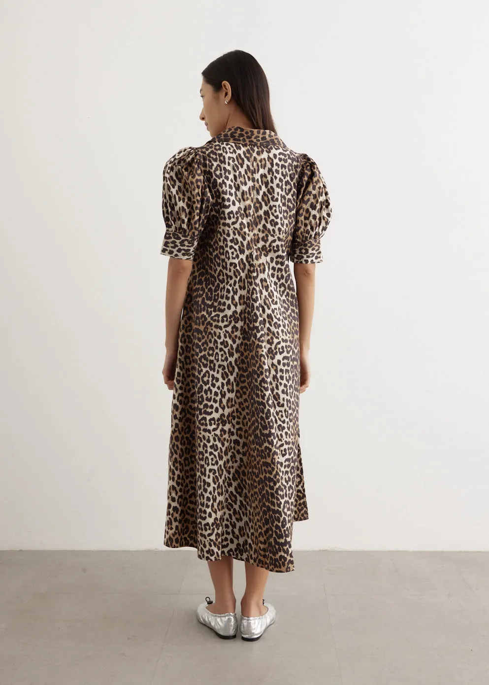 Printed Cotton Poplin V-Neck Long Dress