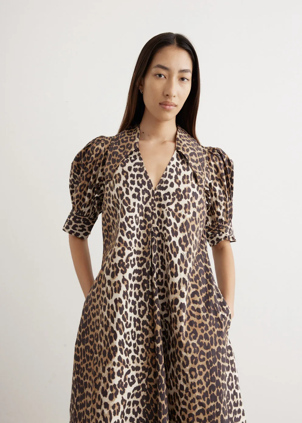 Printed Cotton Poplin V-Neck Long Dress