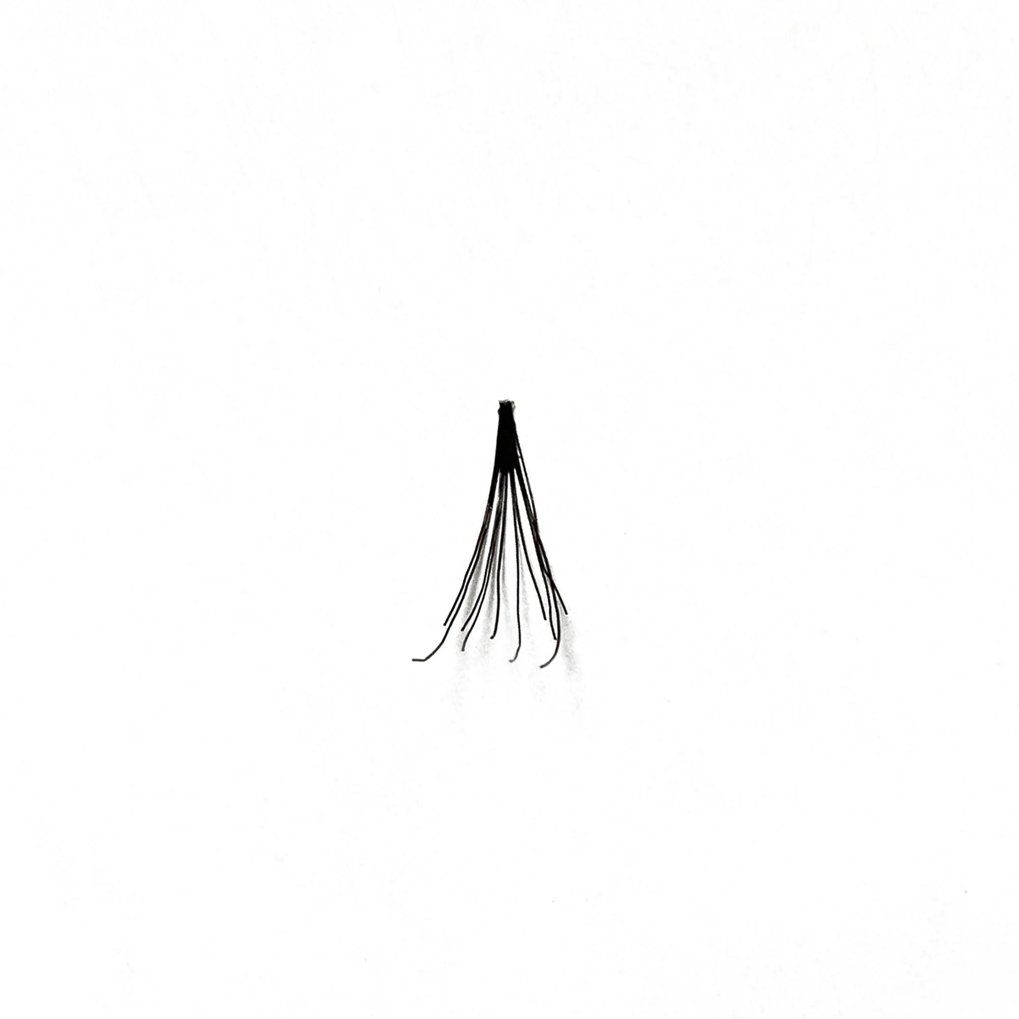 Professional Individual Lashes, 5 Ply Flare Black, Knot Free & Medium For Natural Volume (BF1002-Medium)