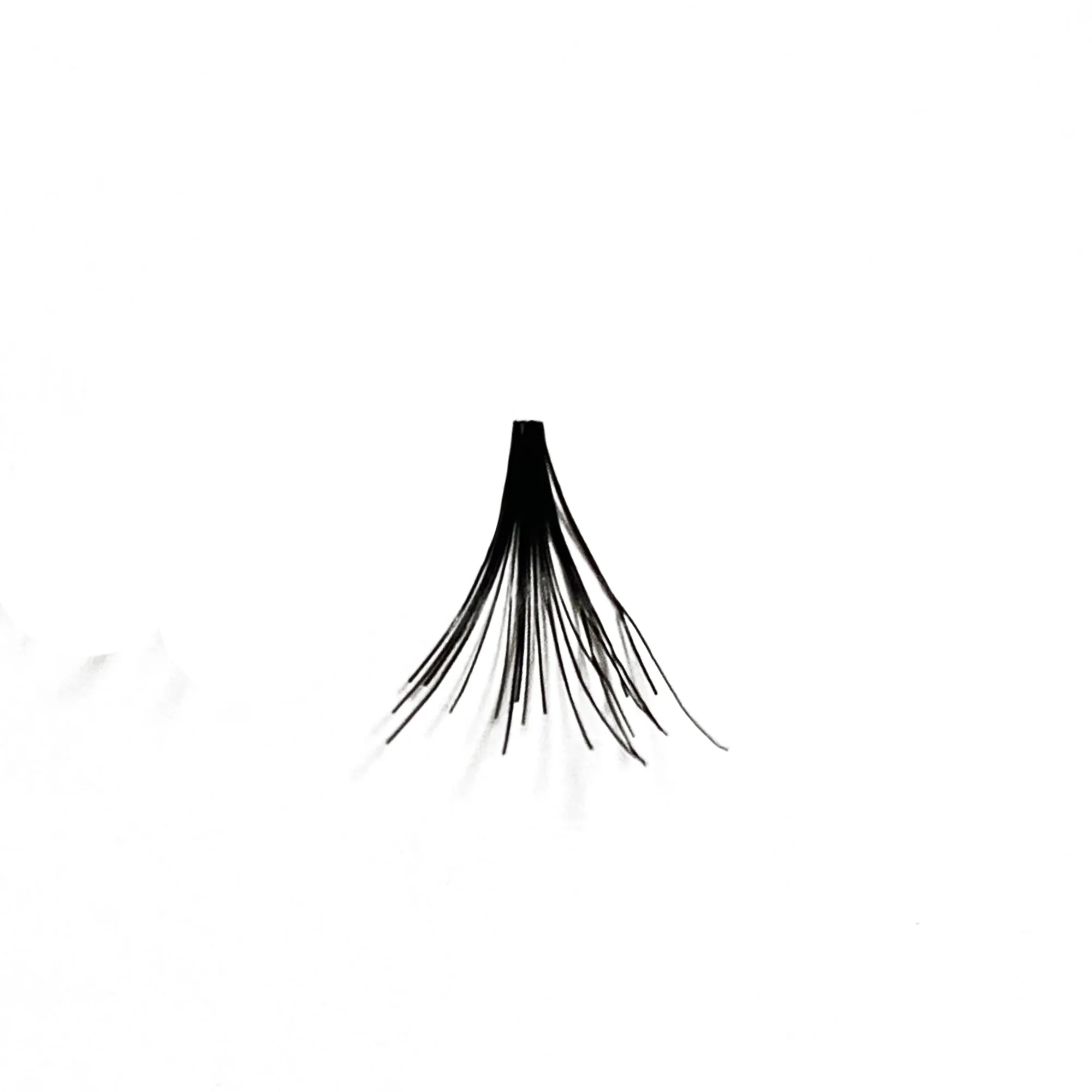 Professional Individual Mega Ultra Thick Lashes, 12 Ply Flare Black, Knot Free & Short For Mega Volume (BF1010-Short)