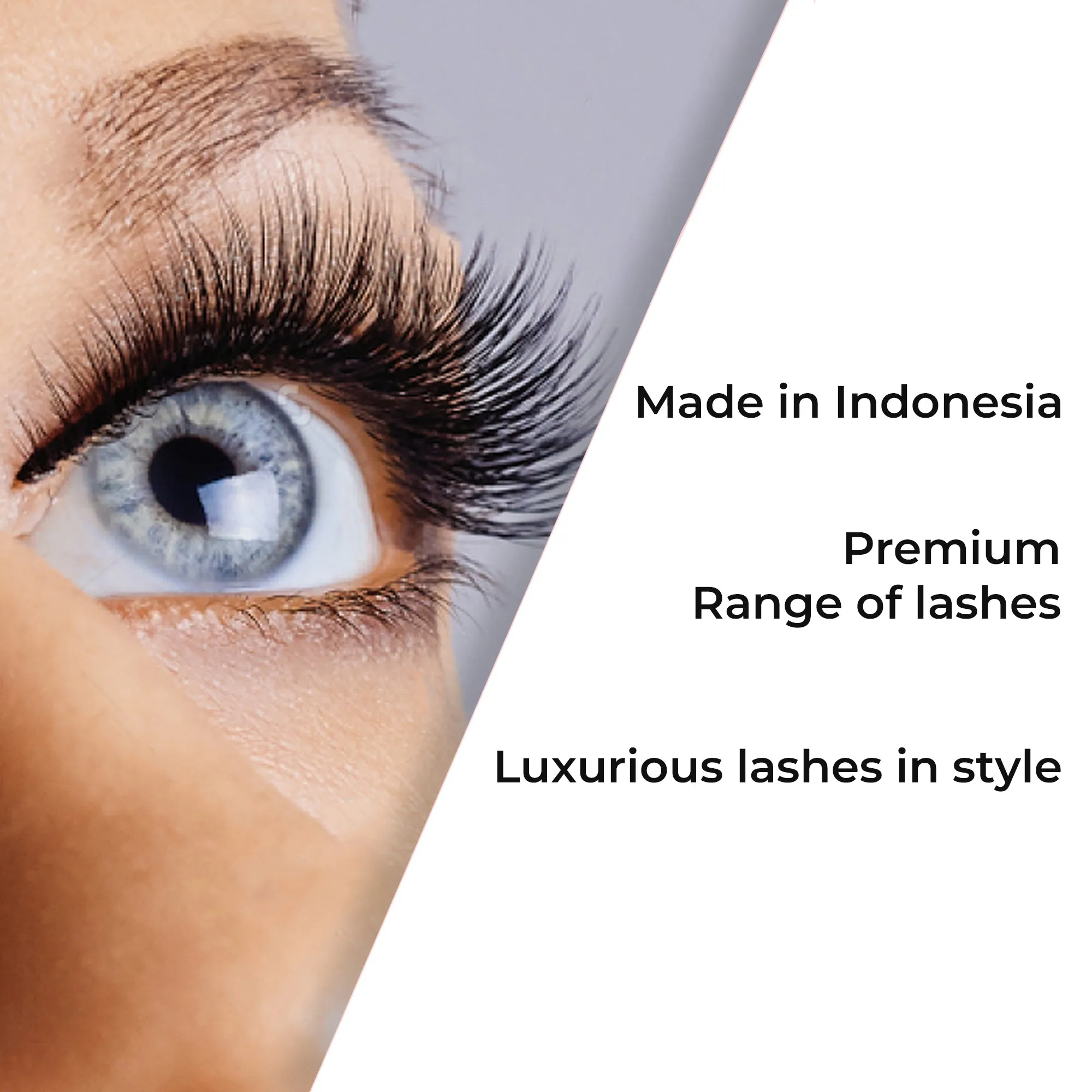 Professional Individual Mega Ultra Thick Lashes, 12 Ply Flare Black, Knot Free & Short For Mega Volume (BF1010-Short)