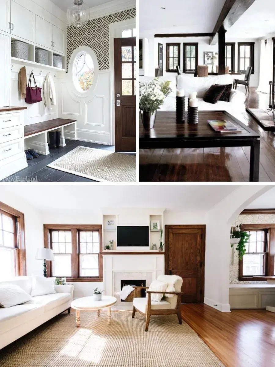 The Leo Interior Paint Palette