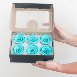 Turquoise Preserved Roses