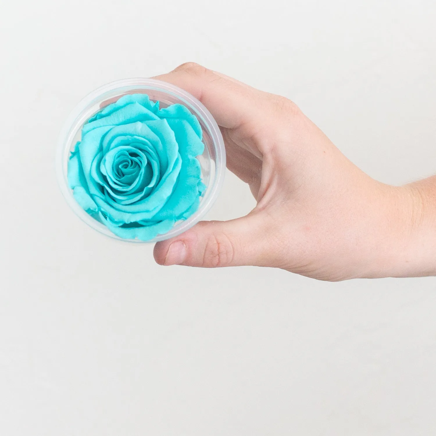 Turquoise Preserved Roses