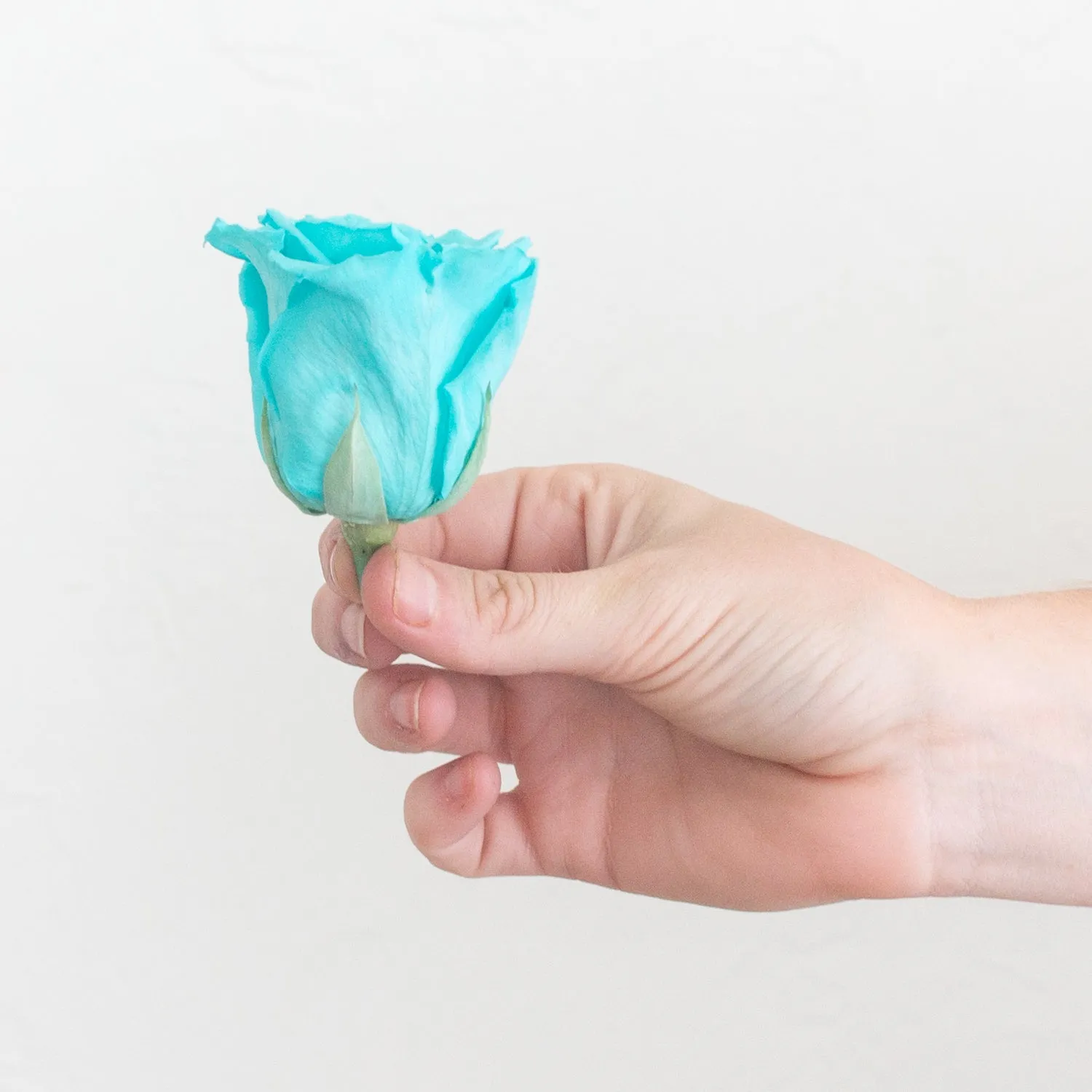 Turquoise Preserved Roses