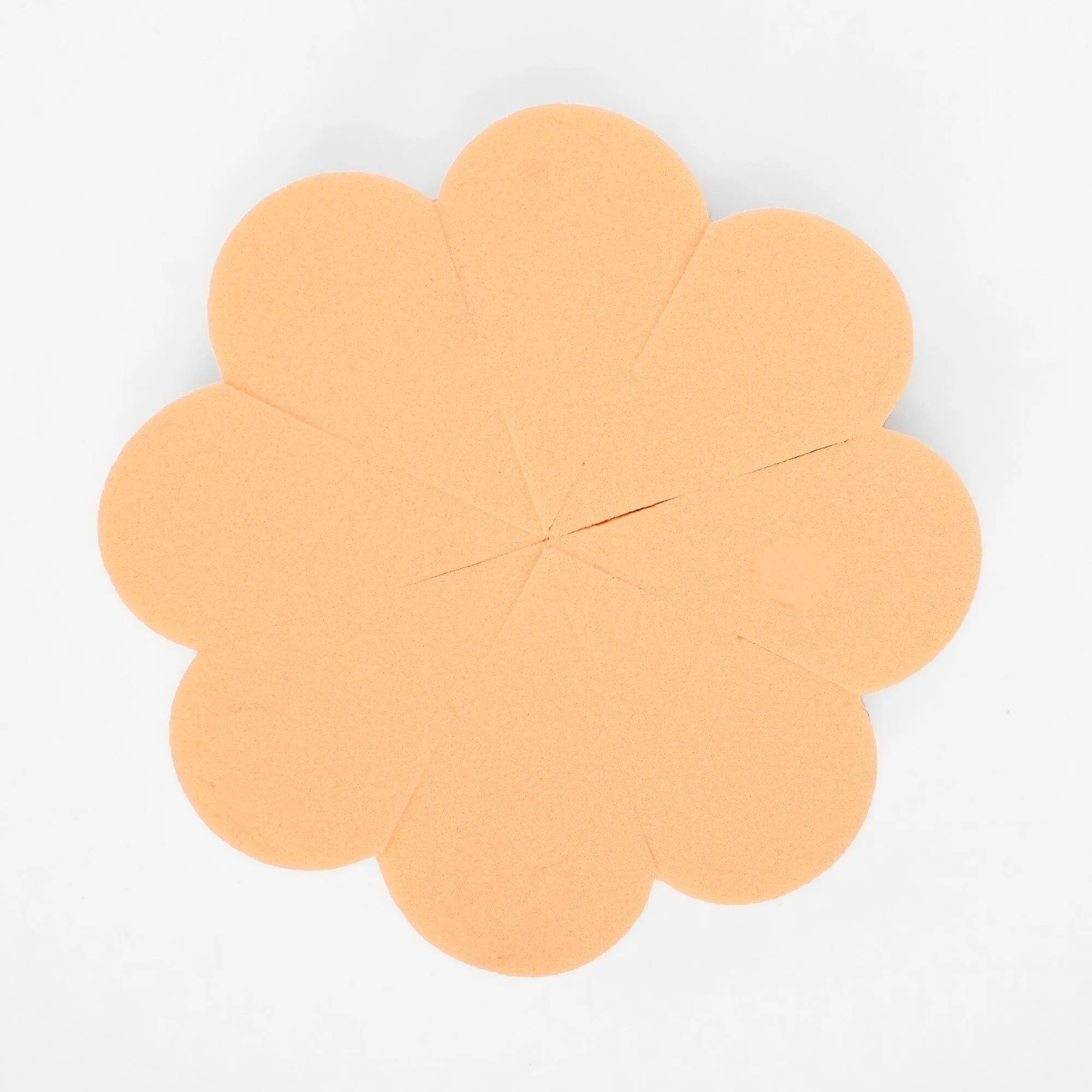 Women's Makeup Sponge