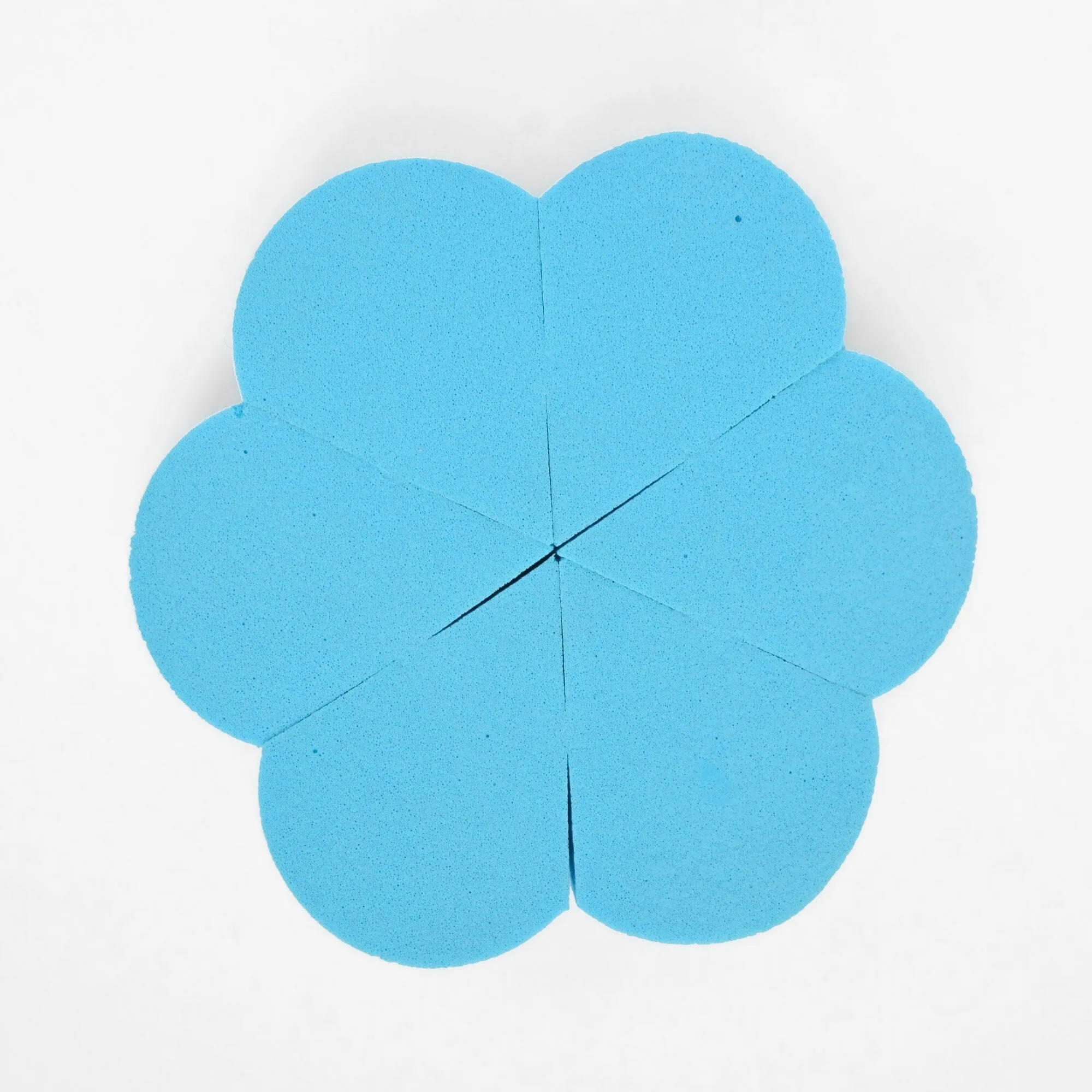 Women's Makeup Sponge
