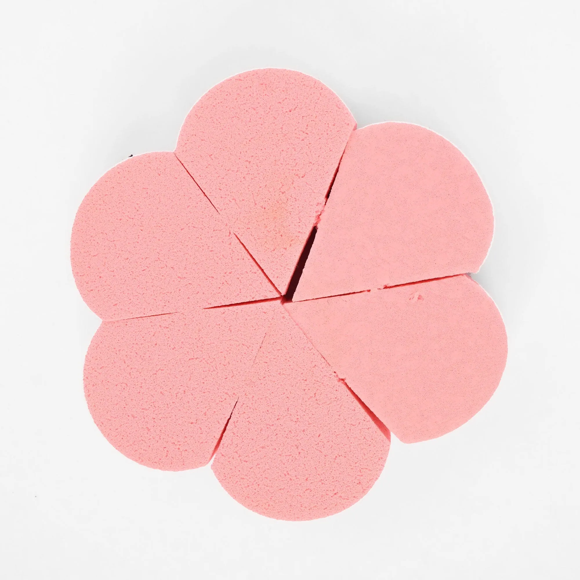 Women's Makeup Sponge