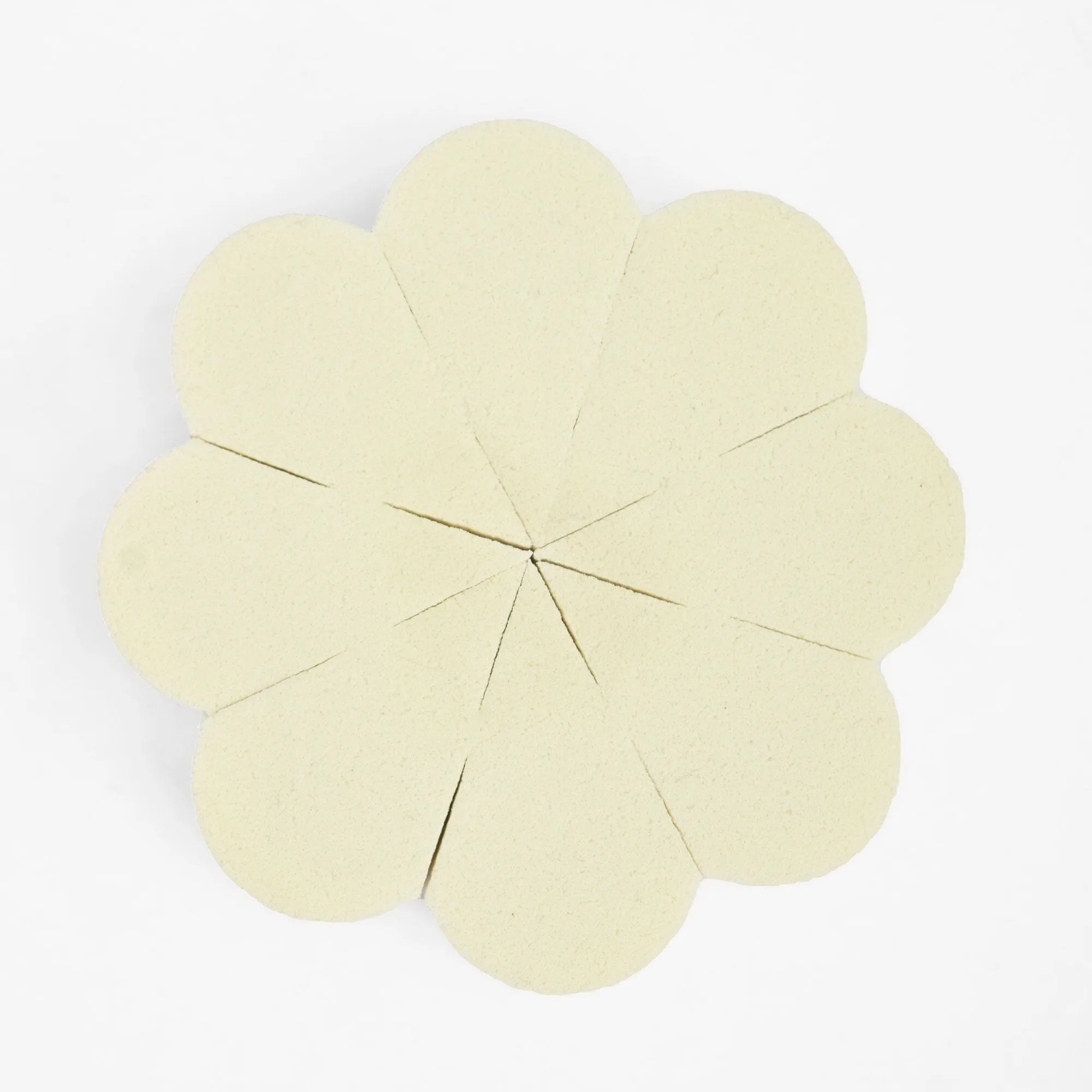 Women's Makeup Sponge